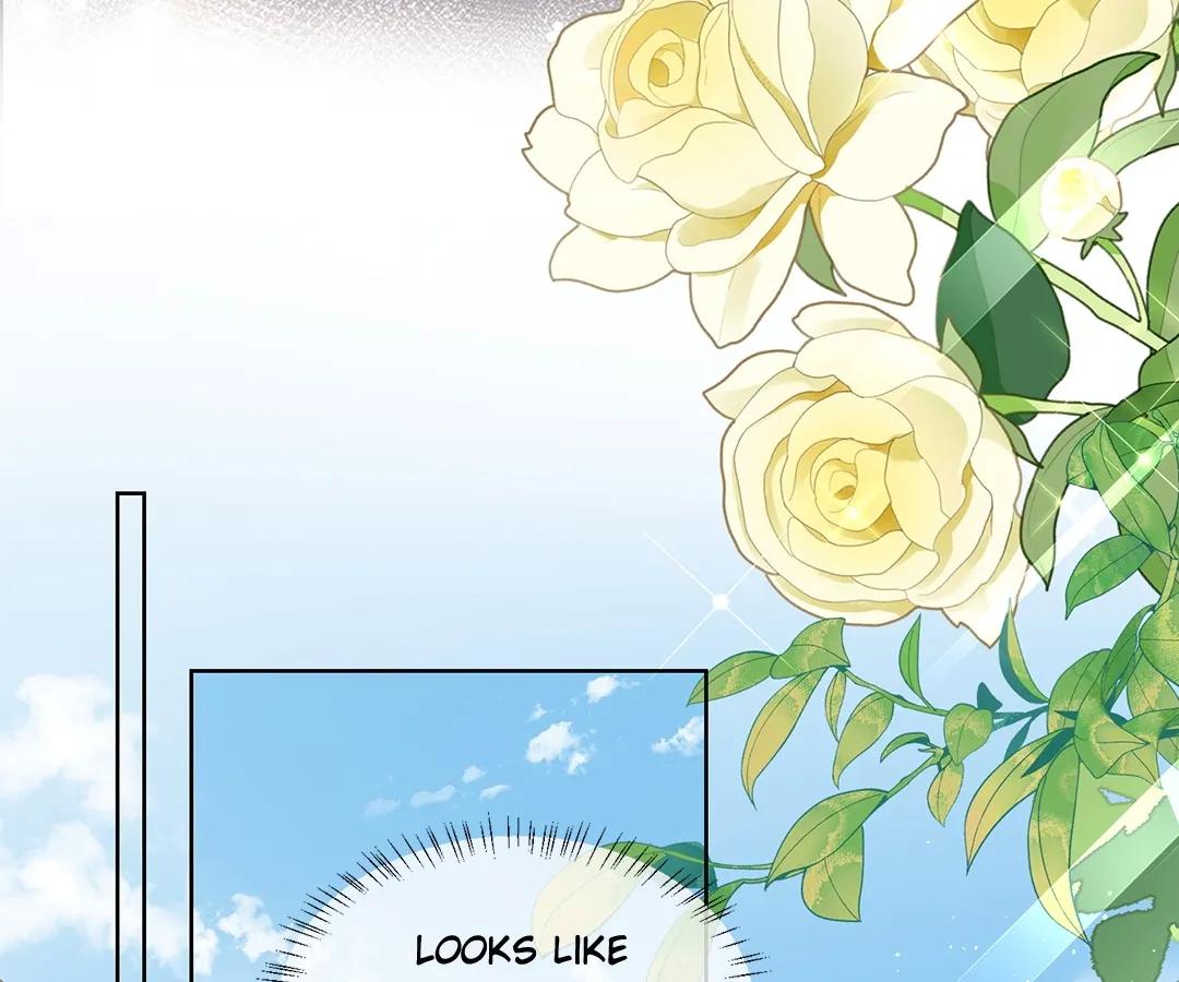 Transmigrating as the Younger Sister of a Bigshot with Multiple Identities Chapter 25 324 71