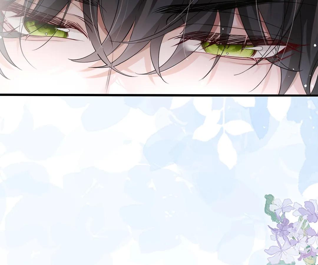 Transmigrating as the Younger Sister of a Bigshot with Multiple Identities Chapter 27 297 17