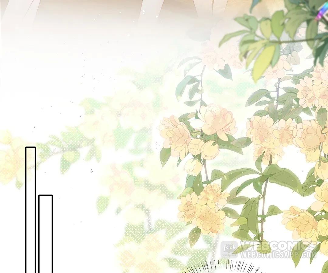 Transmigrating as the Younger Sister of a Bigshot with Multiple Identities Chapter 28 235 03