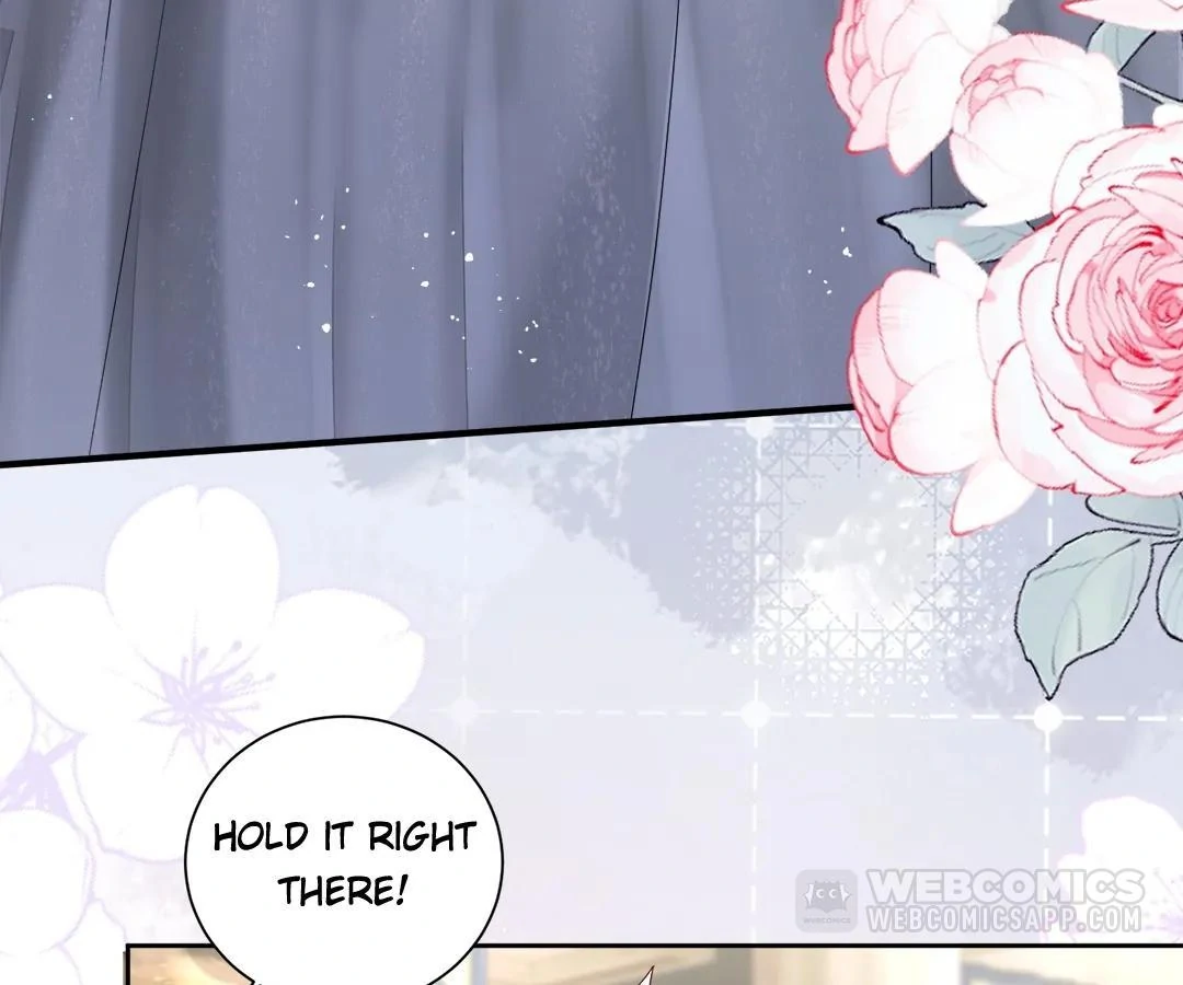 Transmigrating as the Younger Sister of a Bigshot with Multiple Identities Chapter 29 368 67