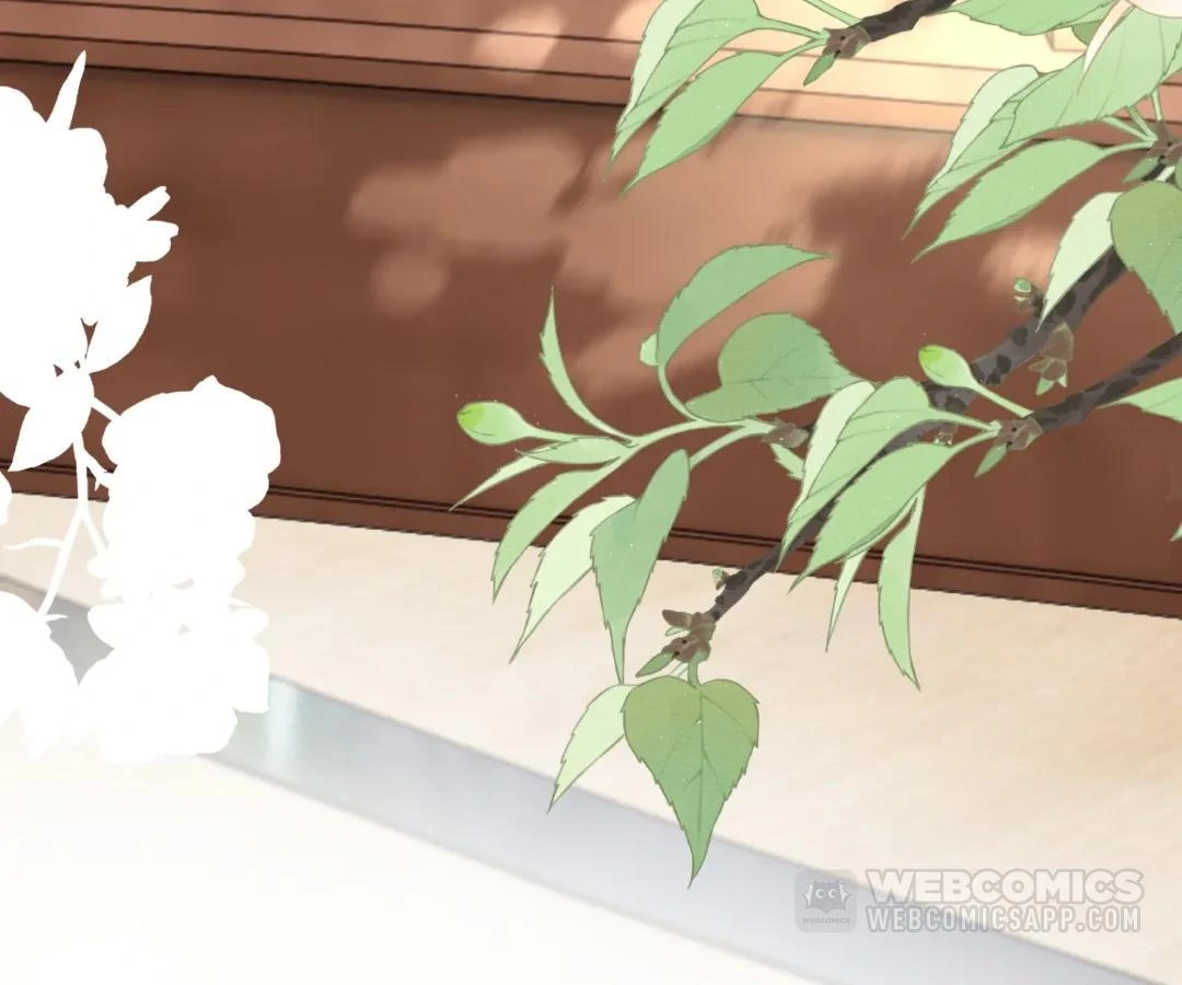 Transmigrating as the Younger Sister of a Bigshot with Multiple Identities Chapter 55 374 91