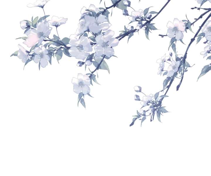 Transmigrating as the Younger Sister of a Bigshot with Multiple Identities Chapter 78 350 58