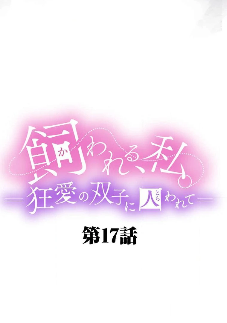 Trapped By The Crazy Twins Chapter 17 269 028