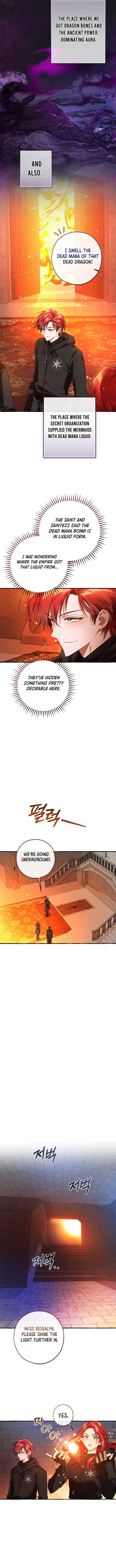 Trash of the Count’s Family Chapter 161 43 5