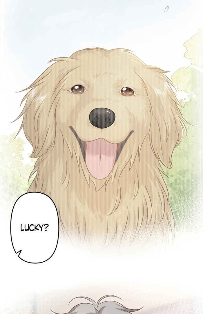 True Love of Mr. Wonderful Chapter 25 168 ch 25 5