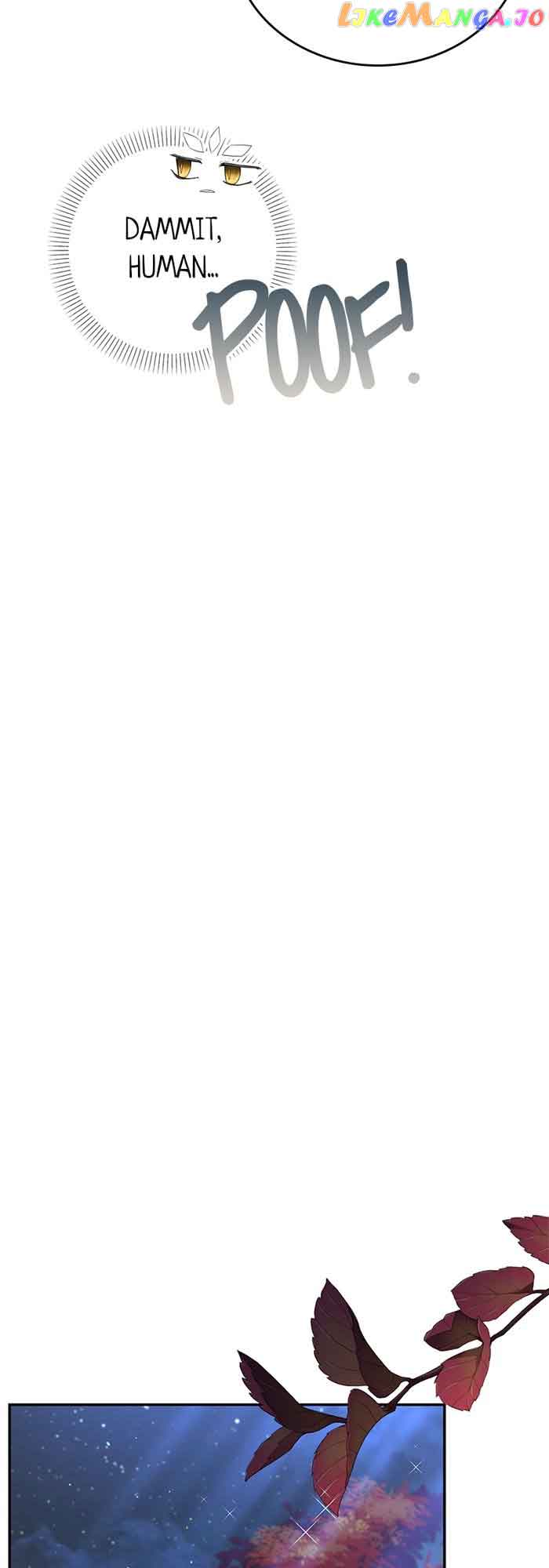 Trumping My Tragic Destiny Chapter 23 251 25