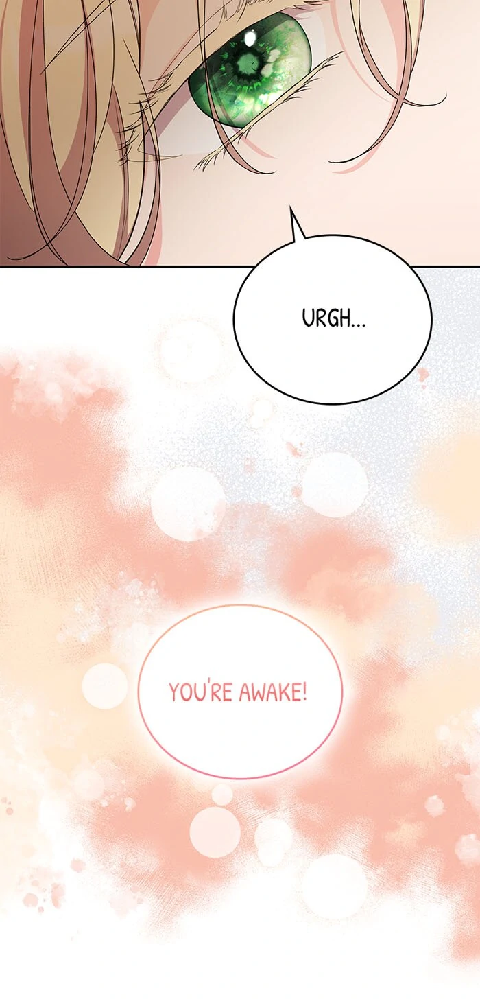 Trumping My Tragic Destiny Chapter 63 251 16