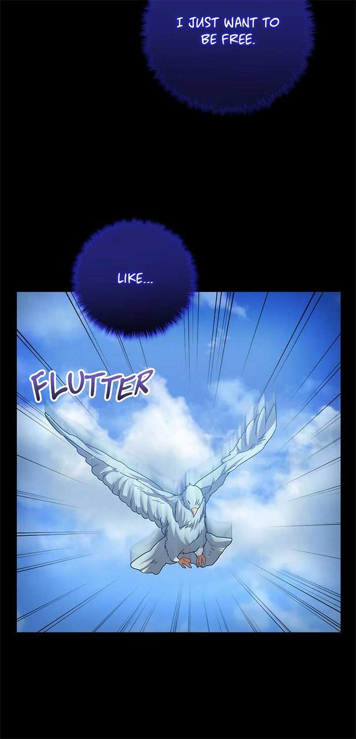 Twin Sister’s Strike Declaration Chapter 96 355 ch 96 42