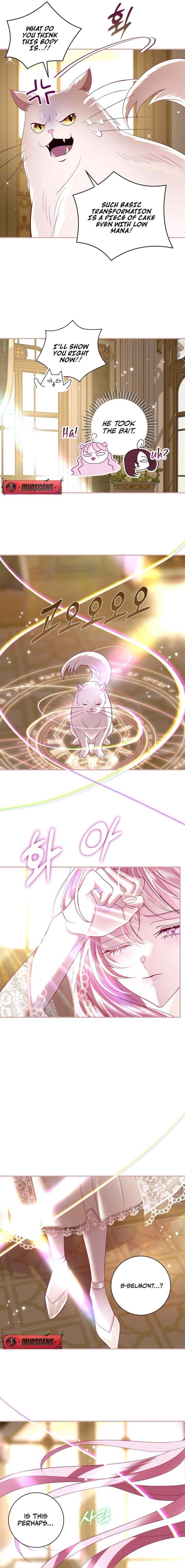 Villain, I’ll Do Everything Except Marriage for You! Chapter 47 71 13