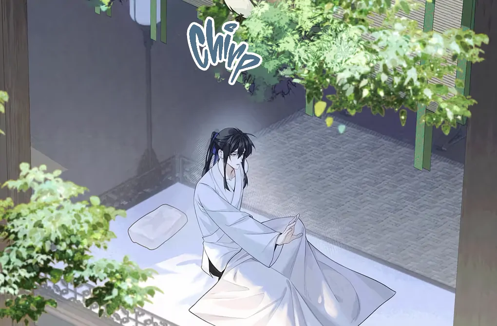 Was His Highness Assassinated Today? Chapter 1 336 ch 1 50