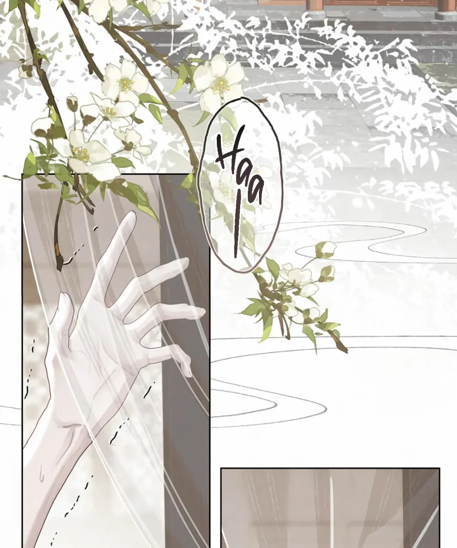 Was His Highness Assassinated Today? Chapter 17 209 07