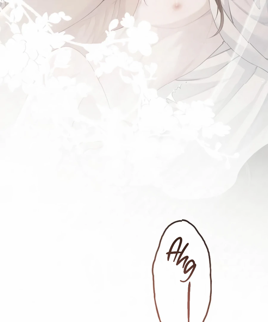 Was His Highness Assassinated Today? Chapter 17 217 15