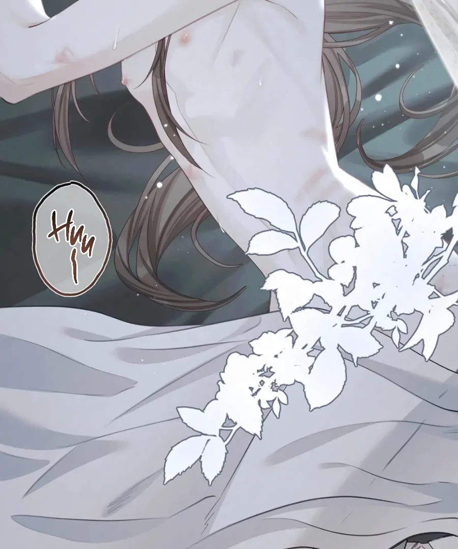 Was His Highness Assassinated Today? Chapter 17 222 20