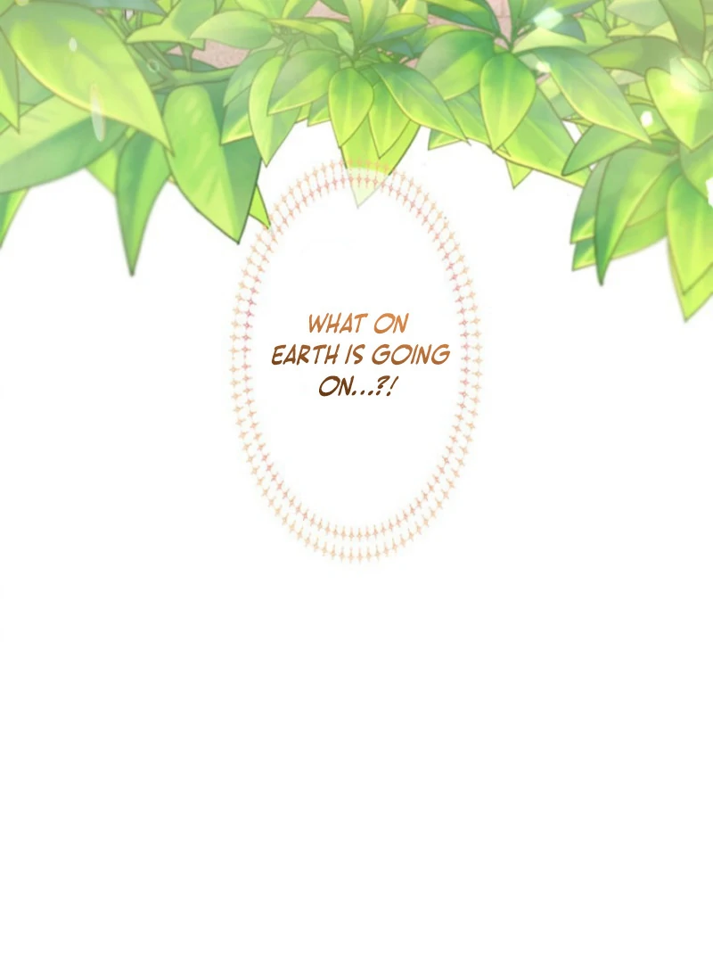 Welcome to Elly’s Hotel Chapter 11 409 009