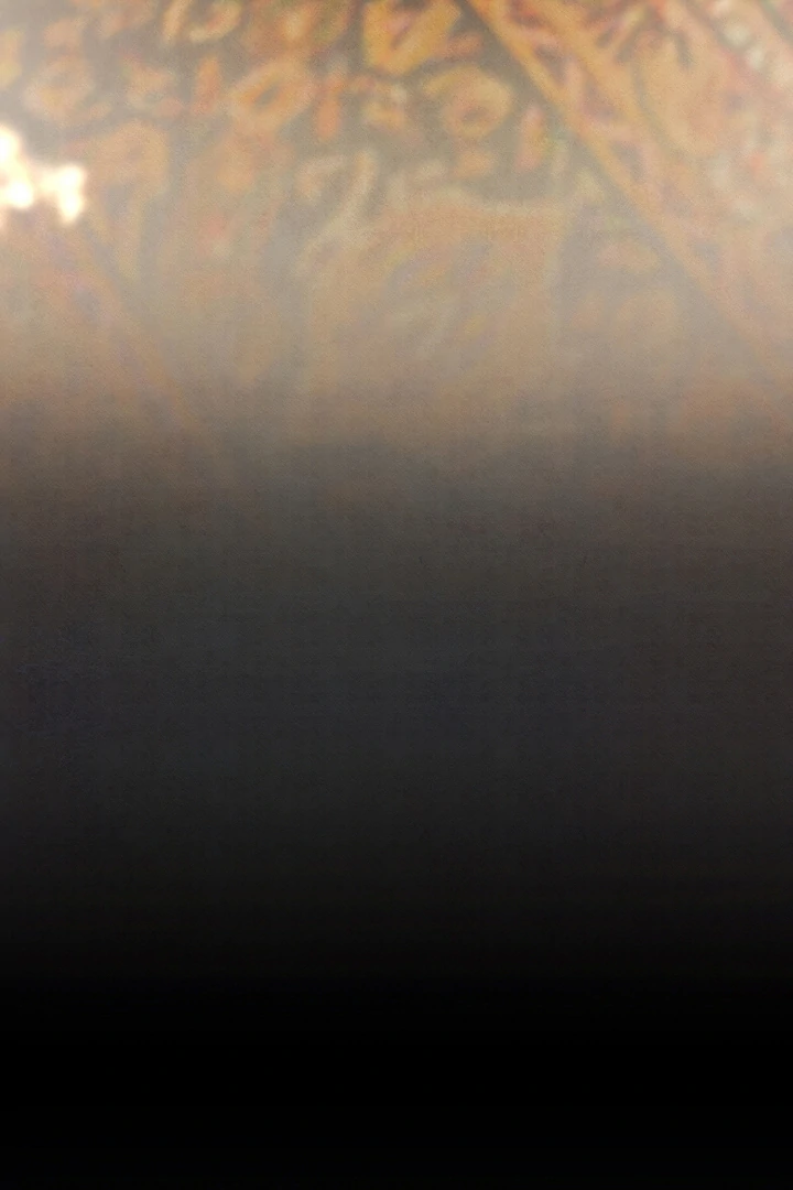 Welcome to the Rose Mansion Chapter 7 554 ch 7 70