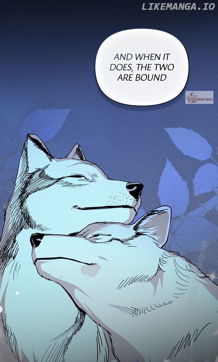 Werewolves Going Crazy over Me Chapter 66 285 47