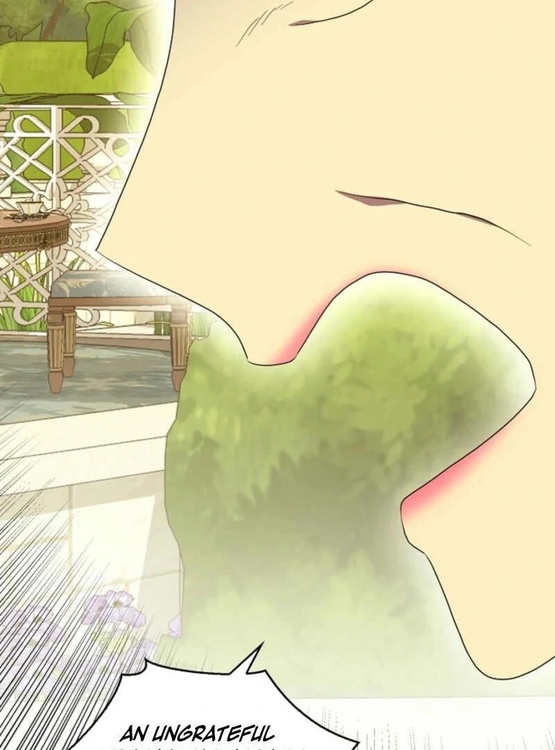 When I Quit Being A Wicked Mother-in-law, Everyone Became Obsessed With Me Chapter 96 411 ch 96 71