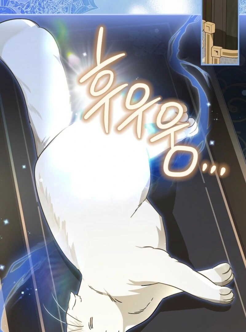 When The Count’s Illegitimate Daughter Gets Married Chapter 112 431 ch 112 61