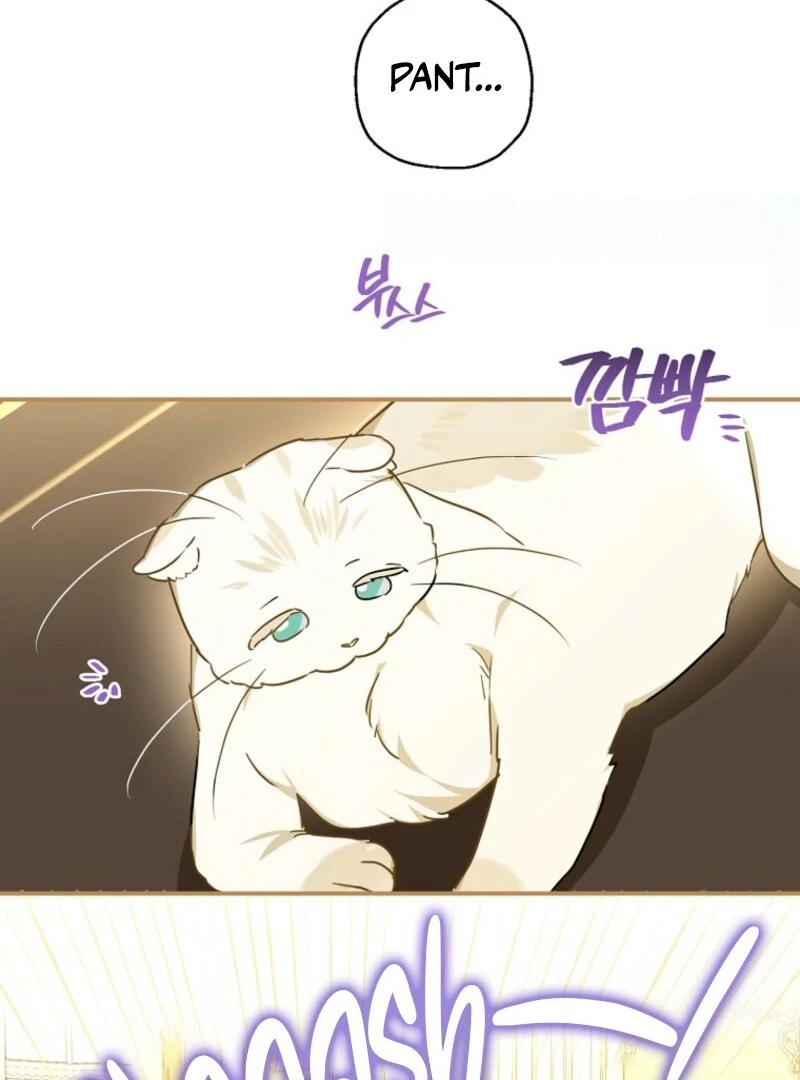 When The Count’s Illegitimate Daughter Gets Married Chapter 112 434 ch 112 64