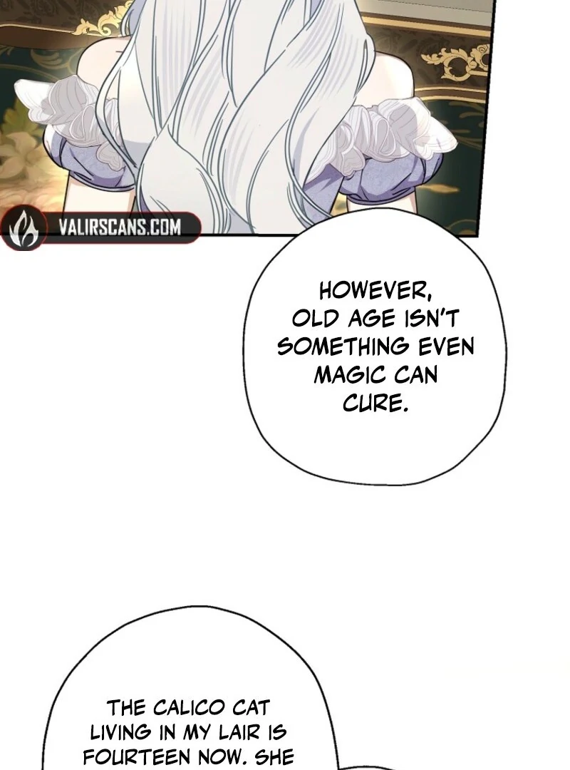 When The Count’s Illegitimate Daughter Gets Married Chapter 112 438 ch 112 68