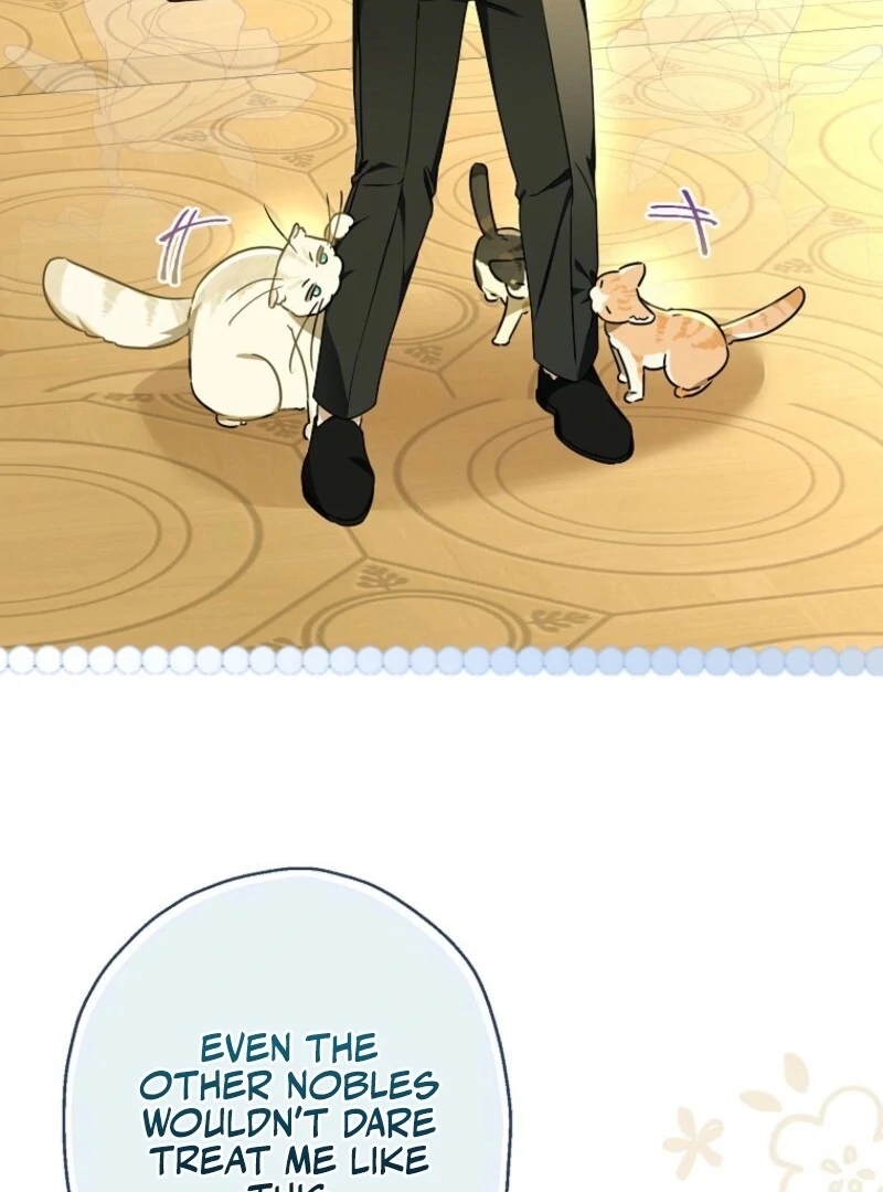 When The Count’s Illegitimate Daughter Gets Married Chapter 114 366 ch 114 17