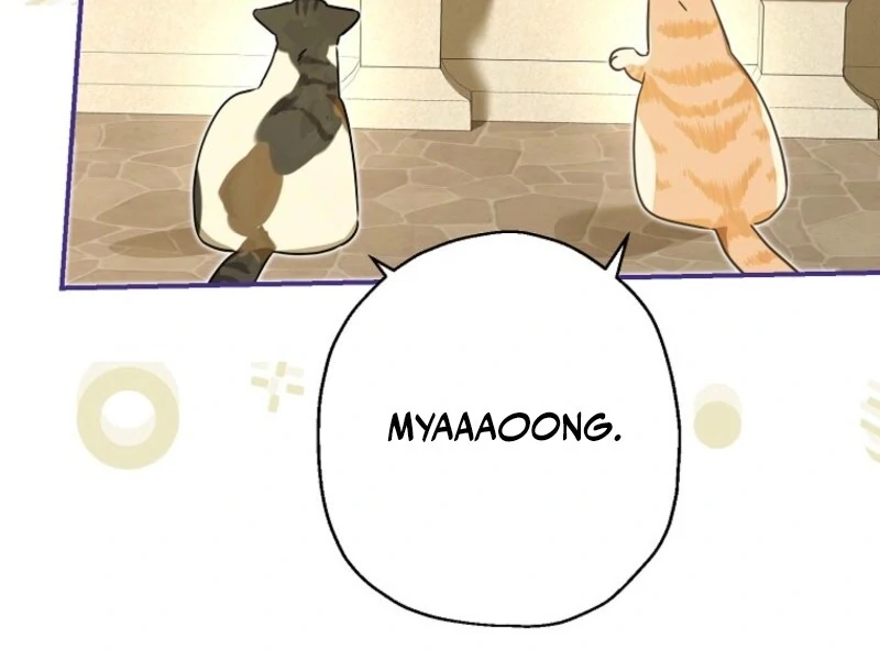 When The Count’s Illegitimate Daughter Gets Married Chapter 114 373 ch 114 24