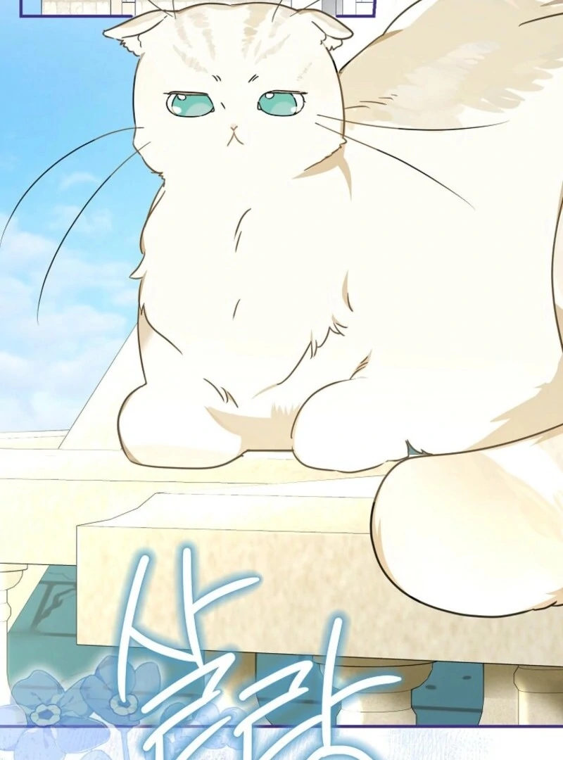 When The Count’s Illegitimate Daughter Gets Married Chapter 114 377 ch 114 28