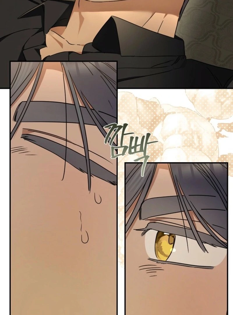 When The Count’s Illegitimate Daughter Gets Married Chapter 114 441 ch 114 92