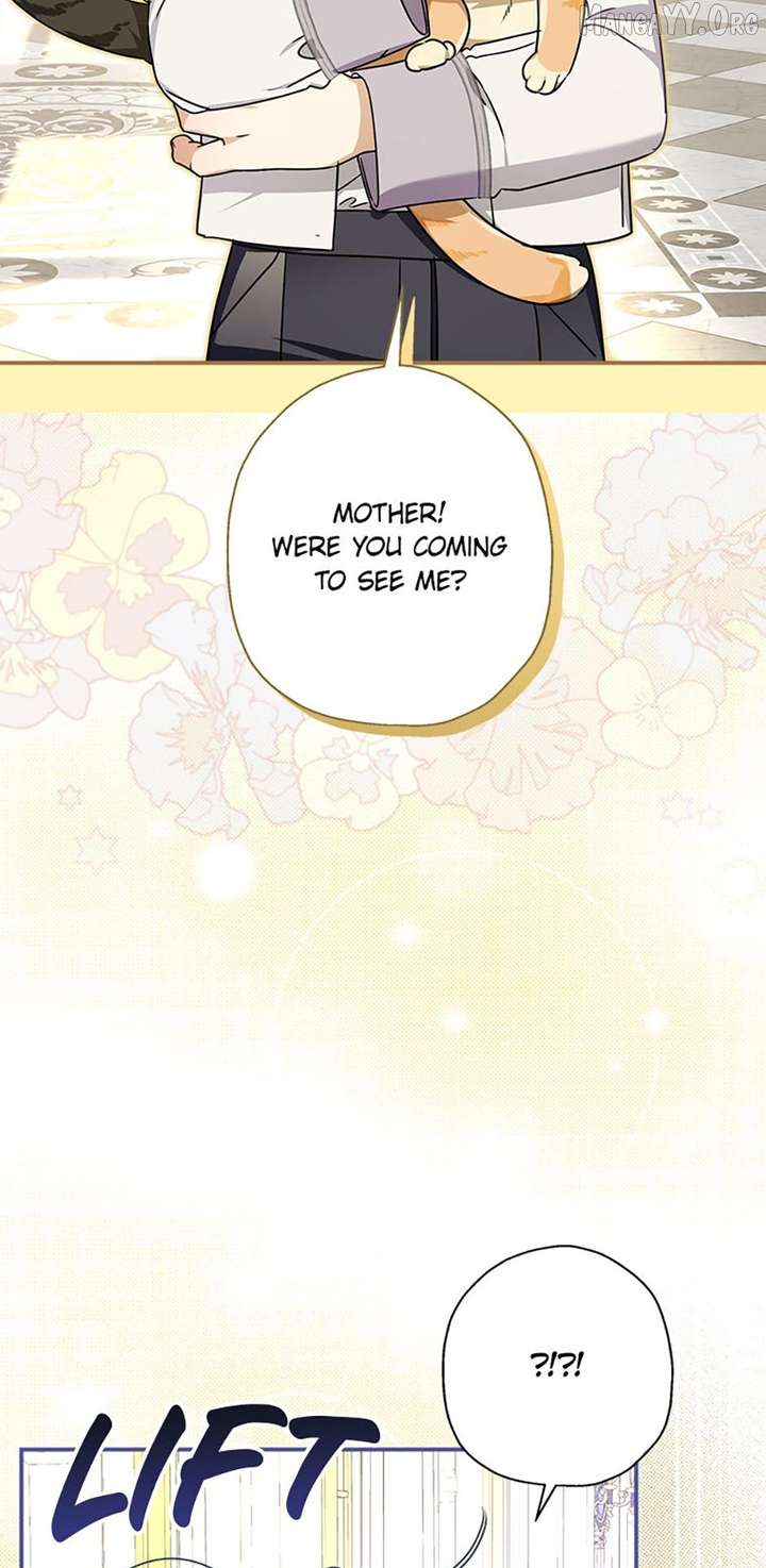 When The Count’s Illegitimate Daughter Gets Married Chapter 117 322 72