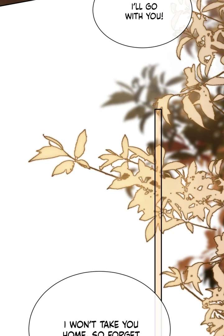 You Are My Thousands of Stars Chapter 12 336 62