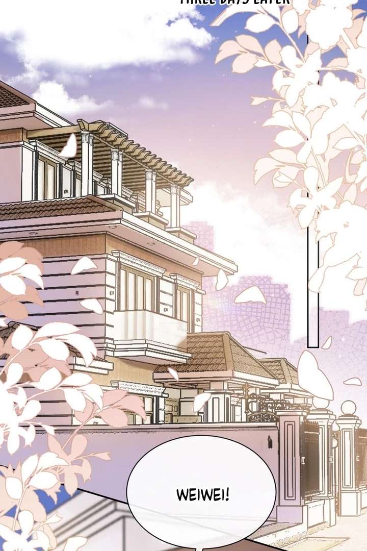 You Are My Thousands of Stars Chapter 13 227 22