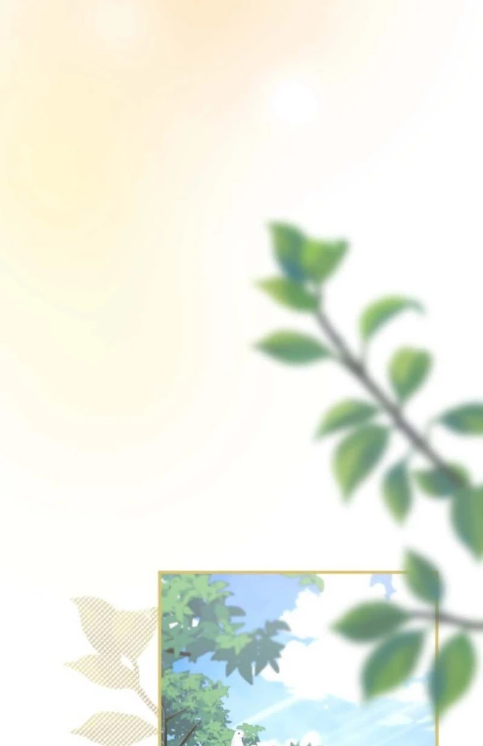 You Promised to Divorce Me After 10 Years, Right Dear? Chapter 20 356 79