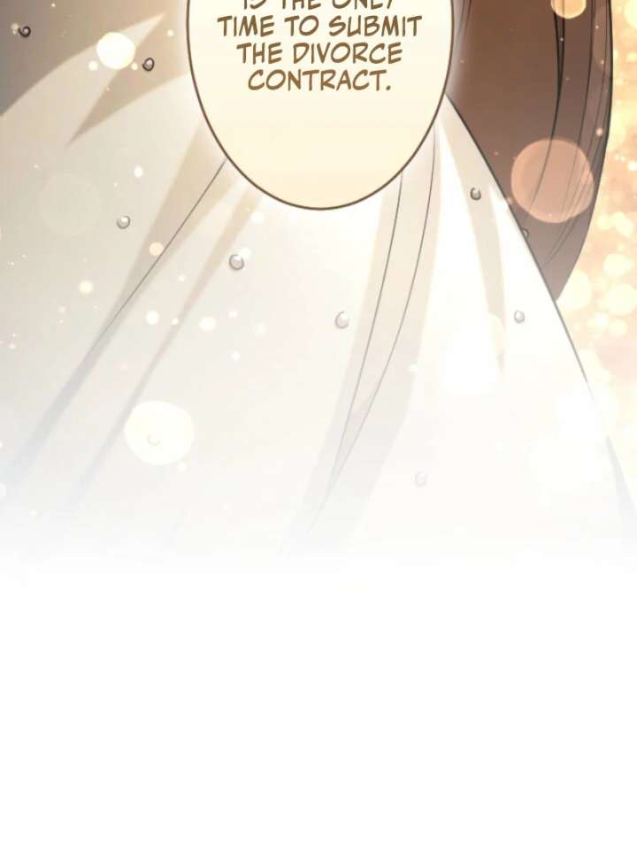 You Promised to Divorce Me After 10 Years, Right Dear? Chapter 25 373 022