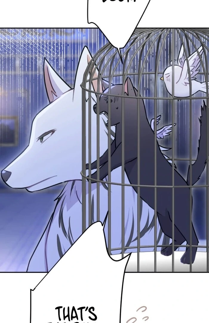 Your Highness i Decide My Fate Chapter 31 430 012