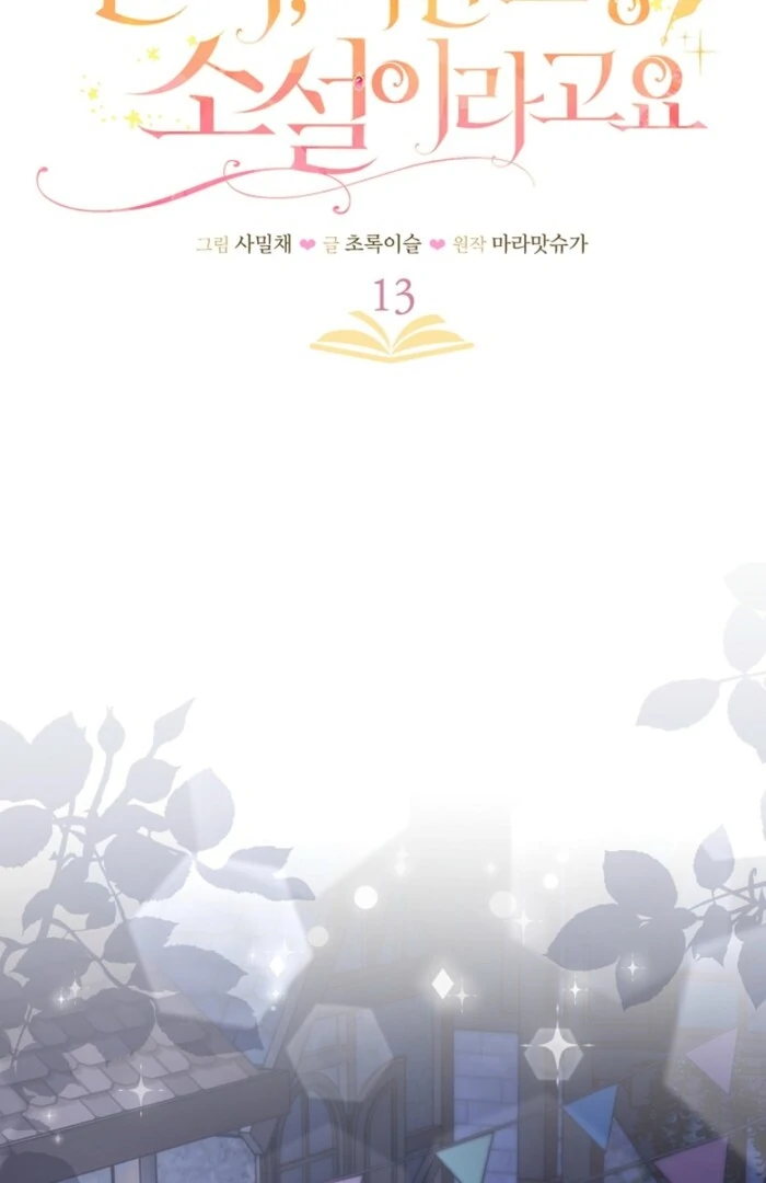 Your Highness, This Is Just a Novel Chapter 13 331 018