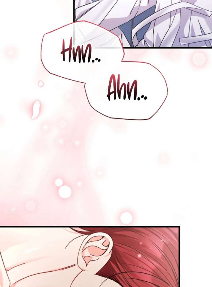 Your Highness, This Is Just a Novel Chapter 21 311 17