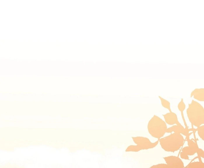 Your Highness, This Is Just a Novel Chapter 23 383 79