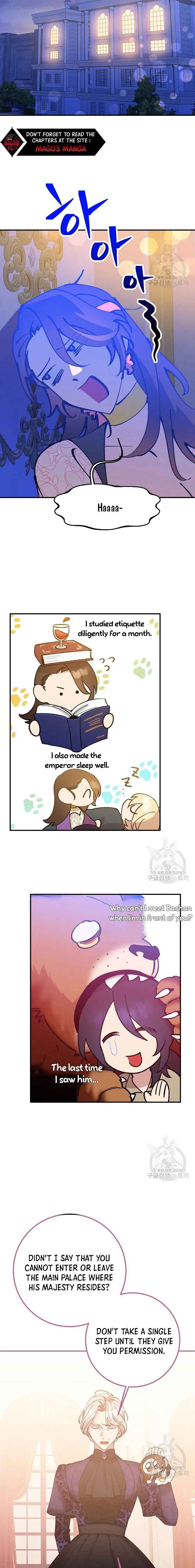 Your Majesty, Please Stop Now Chapter 6 83 16