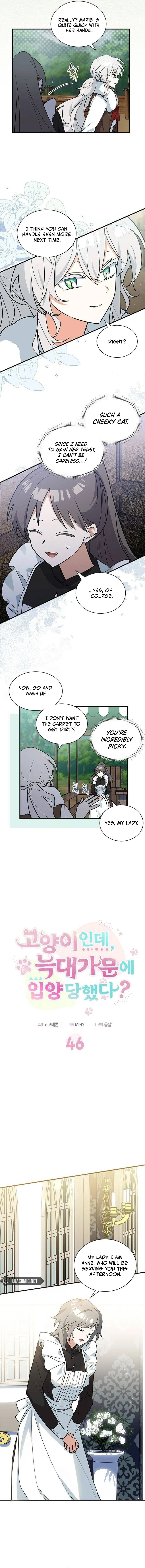 You’re a Cat, But You’ve Been Adopted by a Wolf Family? Chapter 46 51 4