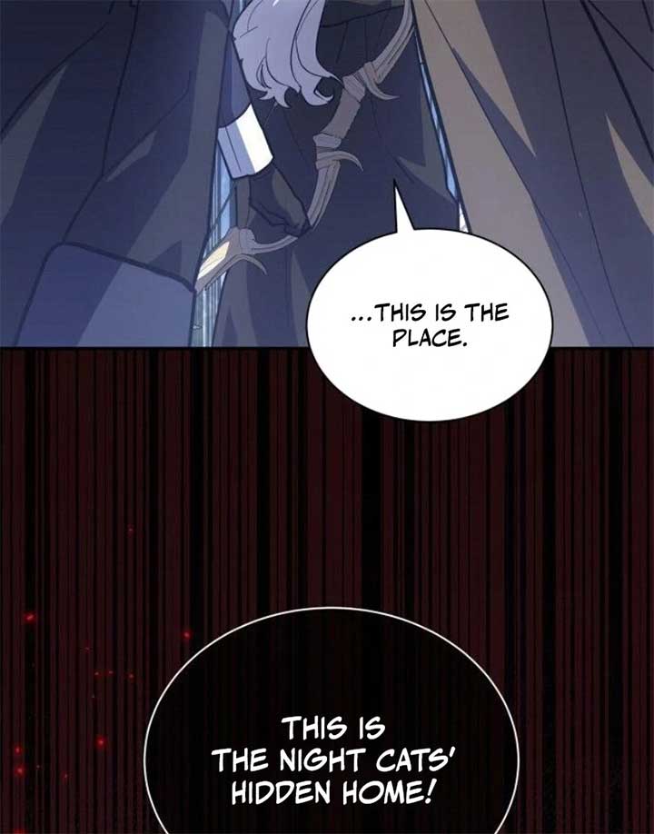 You’re a Cat, But You’ve Been Adopted by a Wolf Family? Chapter 68 528 125