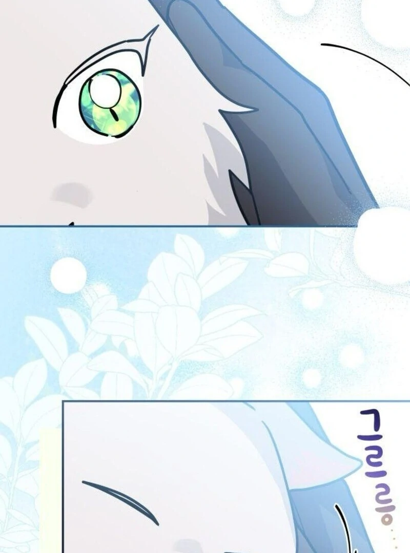 You’re a Cat, But You’ve Been Adopted by a Wolf Family? Chapter 71 459 110