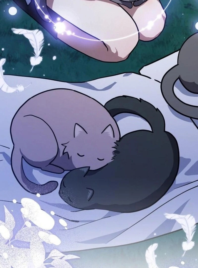 You’re a Cat, But You’ve Been Adopted by a Wolf Family? Chapter 72 389 025