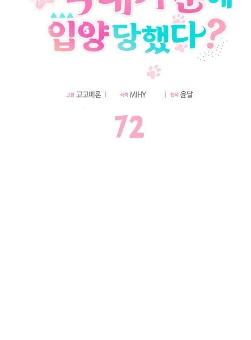 You’re a Cat, But You’ve Been Adopted by a Wolf Family? Chapter 72 427 063