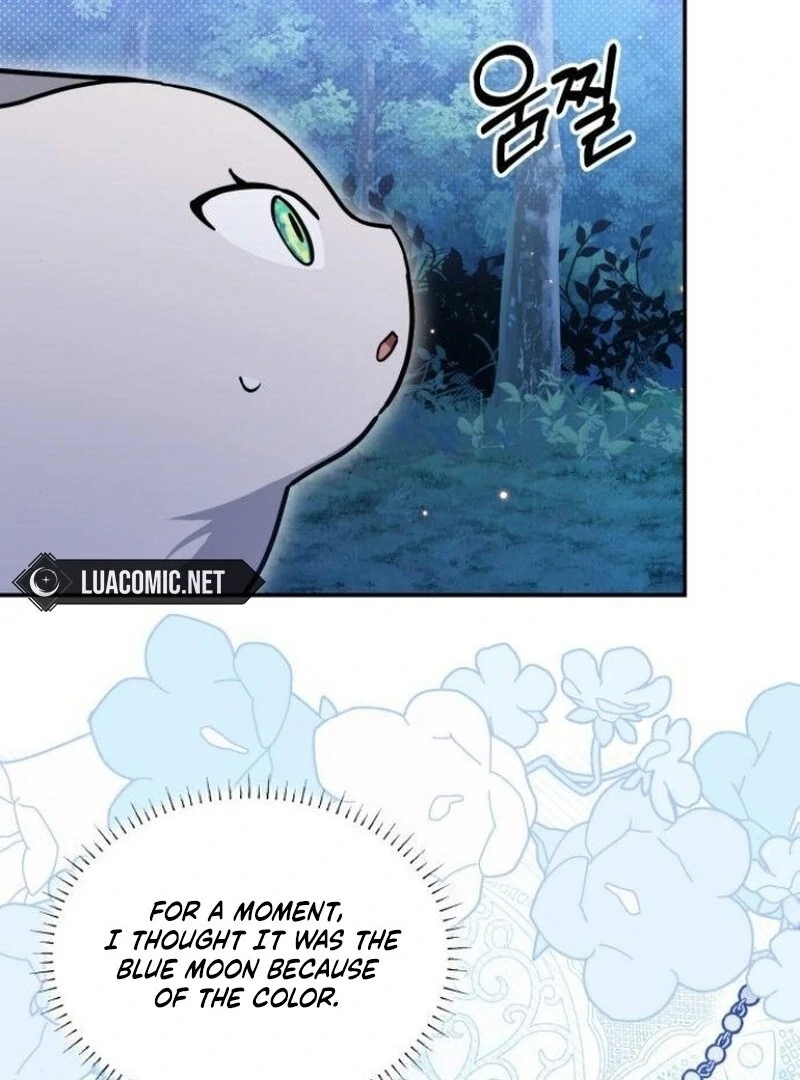 You’re a Cat, But You’ve Been Adopted by a Wolf Family? Chapter 72 433 069