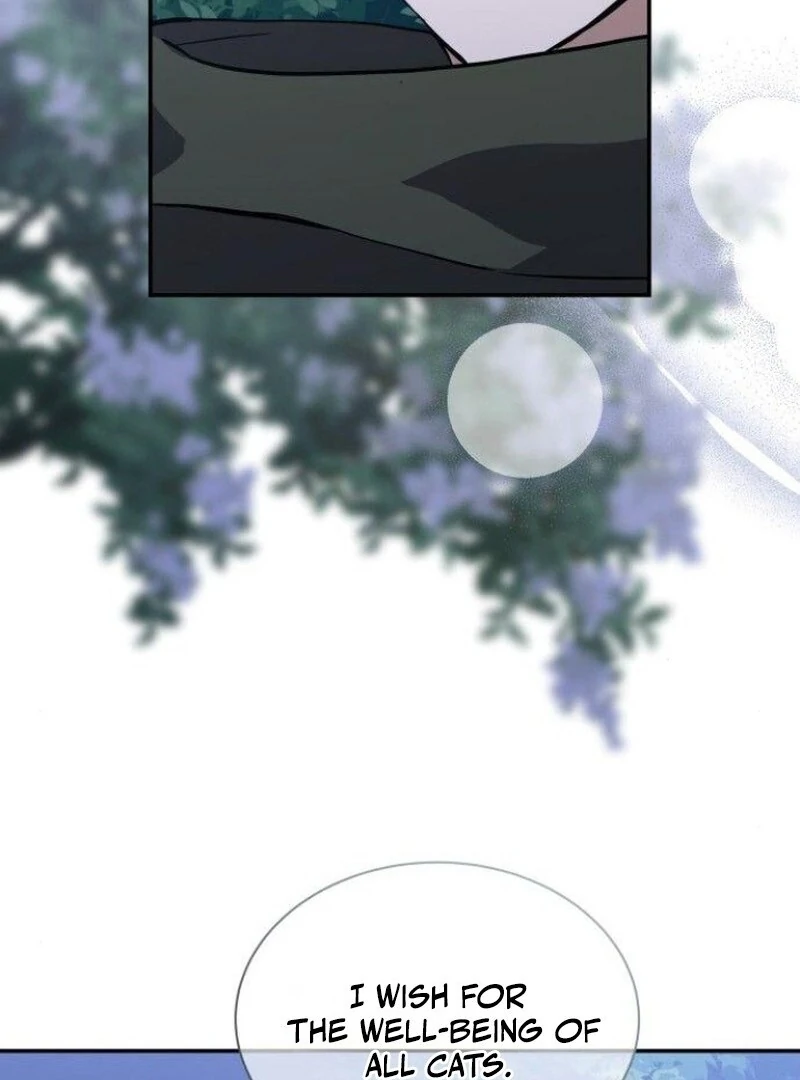 You’re a Cat, But You’ve Been Adopted by a Wolf Family? Chapter 73 363 008