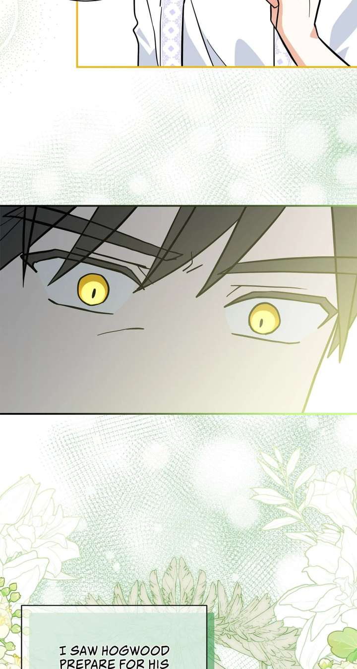 You’re a Cat, But You’ve Been Adopted by a Wolf Family? Chapter 75 301 24