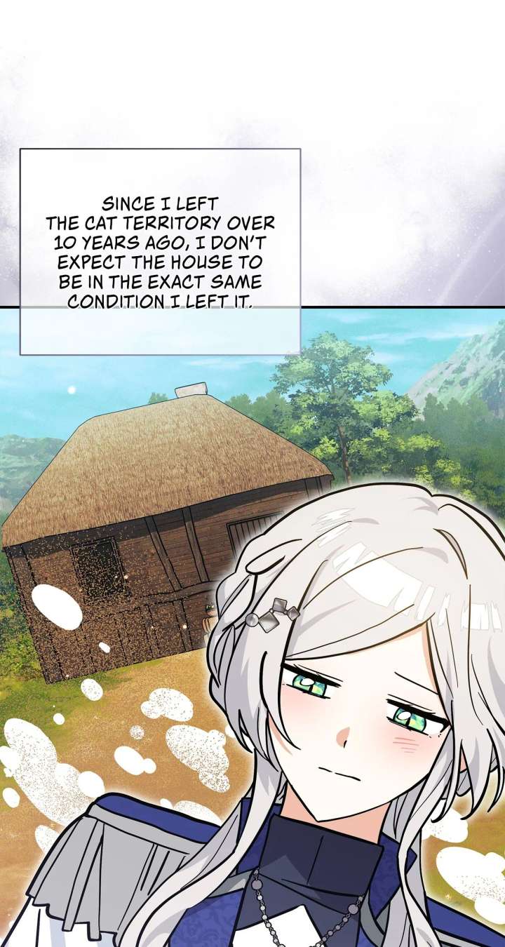 You’re a Cat, But You’ve Been Adopted by a Wolf Family? Chapter 75 327 50