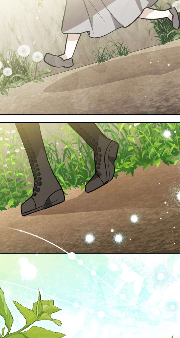 You’re a Cat, But You’ve Been Adopted by a Wolf Family? Chapter 75 329 52