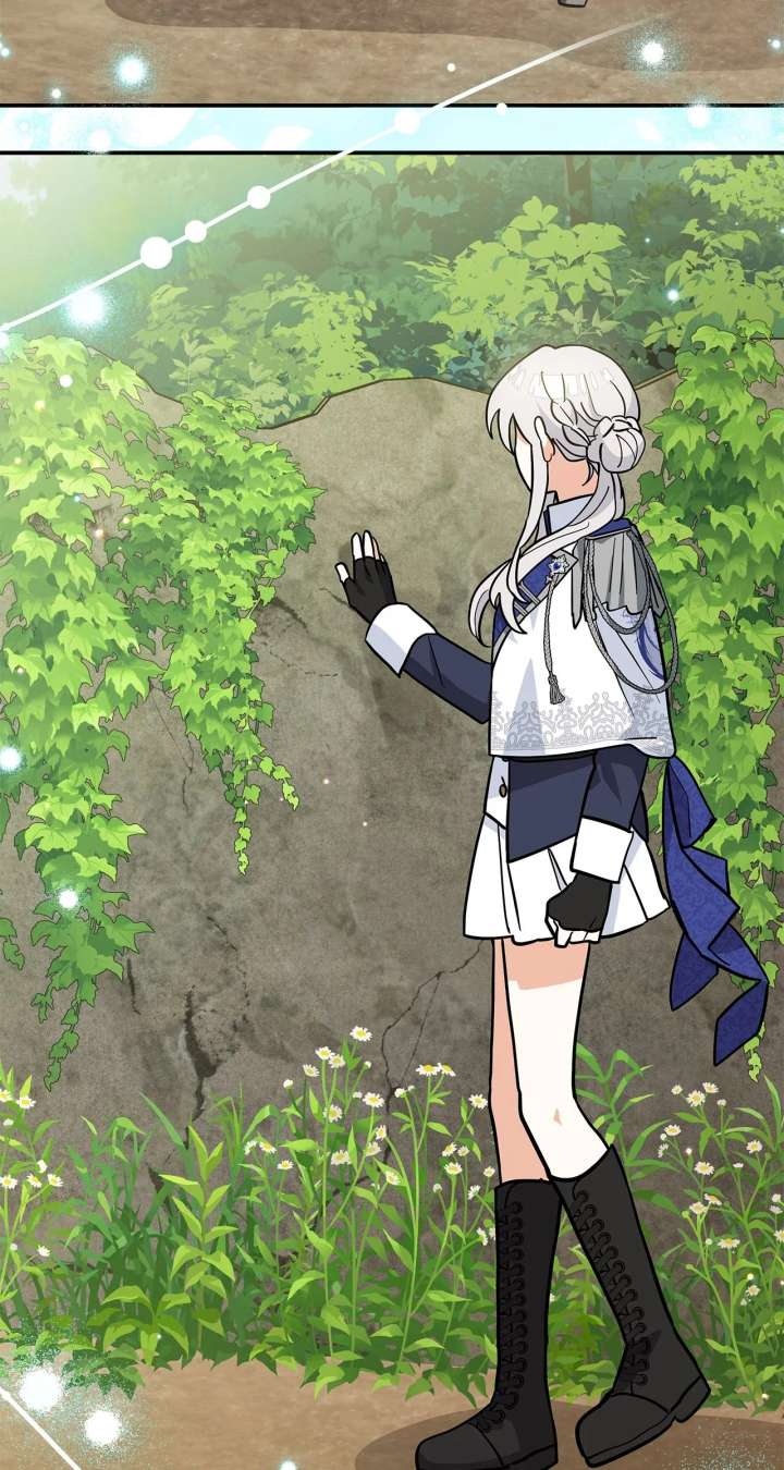 You’re a Cat, But You’ve Been Adopted by a Wolf Family? Chapter 75 331 54