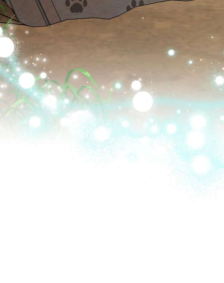 You’re a Cat, But You’ve Been Adopted by a Wolf Family? Chapter 75 365 88